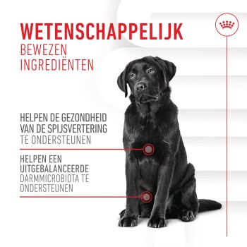 Zwarte hond die tegen een witte achtergrond zit met tekst in het Nederlands die zegt 'Wetenschappelijk bewezen ingrediënten' en gezondheidsvoordelen voor de spijsvertering.