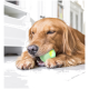 Ein Golden Retriever liegt auf einem hellen Boden und kaut auf einem grünen und gelben Hundespielzeug, mit einem entspannten Ausdruck.
