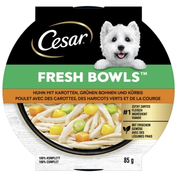 Cesar Fresh Bowls Hundefutter mit Huhn, Karotten, grünen Bohnen und Kürbis, 85g, mit einem glücklichen weißen Hund.