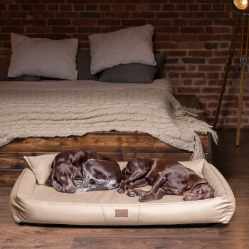 Zwei braune Hunde schlafen friedlich auf einem beigen Hundebett in einem gemütlichen Raum mit einer Ziegelwand und einem Holzbett im Hintergrund.