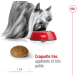 Un Yorkshire Terrier mange dans un bol rouge de petites croquettes, avec un gros plan des croquettes et le texte "Croquette très appétente et très petite."