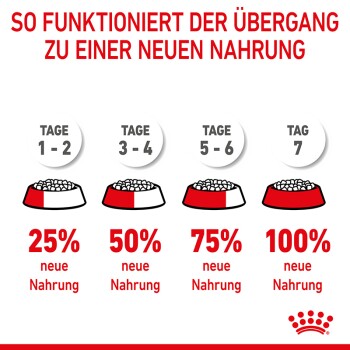 Infografik, die einen 7-tägigen Übergangsplan für Haustierfutter zeigt, mit Schalen, die Prozentsätze des neuen Futters anzeigen: 25 %, 50 %, 75 % und 100 %.
