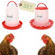 Set aus zwei rot-weißen GarPet-Geflügeltränken/-futterspendern mit Anhänger 'SET', über zwei braunen Hühnern abgebildet.