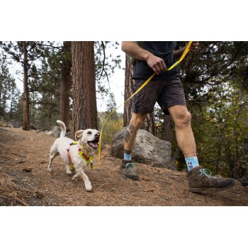 Eine Person führt einen glücklichen, weißen Hund an der Leine durch ein bewaldetes Gebiet, umgeben von hohen Bäumen und felsigem Gelände.