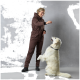 Eine Person in einem braunen Overall steht in einem grauen Raum und hält ein Leckerli für einen Golden Retriever, der auf seinen Hinterbeinen sitzt.