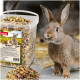 Ein brauner Hase steht neben einem klaren Behälter mit "Panto Nager-Krokant-Mix" Haustierfutter, das bunte Pellets und Samen enthält.