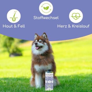 Flasche BIO Leinöl für Haustiere, gekennzeichnet als 100% natürlich und kaltgepresst, geeignet für alle Rassen und Altersgruppen, 1 Liter.