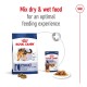Royal Canin dog food packaging shows a large "maxi" dry food bag for adult dogs (26-44 kg) and a 140g wet food can, suggesting mixing.