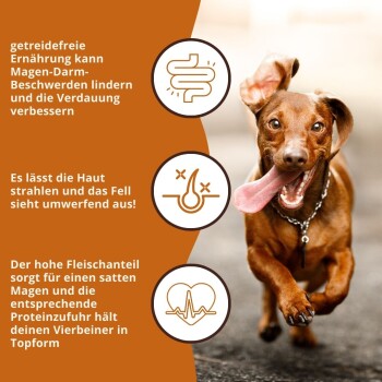 Ein kleiner Hund schaut neugierig auf einen Sack "WILDFANG Huhn" Hundefutter, der eine Fütterungstabelle für verschiedene Hundew weights enthält.