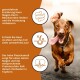 Ein kleiner Hund schaut neugierig auf einen Sack "WILDFANG Huhn" Hundefutter, der eine Fütterungstabelle für verschiedene Hundew weights enthält.