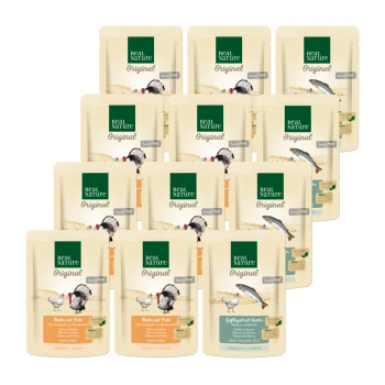 Zwölf Packungen Real Nature Original Haustierfutter in verschiedenen Geschmacksrichtungen, die Omega 3 & 6 und Taurin-Vorteile hervorheben.