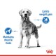 A standing dog with a blurred face, featuring text: "Limits weight gain" and "Maintains muscle mass," alongside relevant icons.
