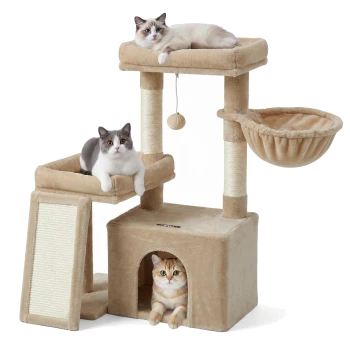 Beiger Kratzbaum mit hängendem Ball und Hängematte, drei Katzen: Ragdoll oben, grau-weiß auf dem mittleren Regal, orangefarbener Tabby in der Höhle