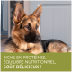 Un gros plan d'un chien berger allemand se reposant, avec un texte superposé indiquant "Riche en protéines, équilibre nutritionnel, goût délicieux !"