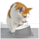 Eine neugierige orange-weiße Katze lehnt sich zu einer grauen Futterschüssel mit weißem Innenraum, die auf einem hellen Boden steht.