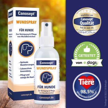 Canosept Wundspray, Flasche und Verpackung mit den Aufschriften "Für Hunde" und "canosept.de" sowie Qualitäts-Badges.