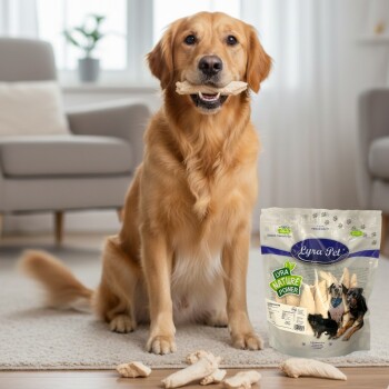 Golden Retriever sitzt neben abgekauten Leckerlis auf einem Teppich, eine Lyra Pet 'Nature Power'-Tüte ist sichtbar.