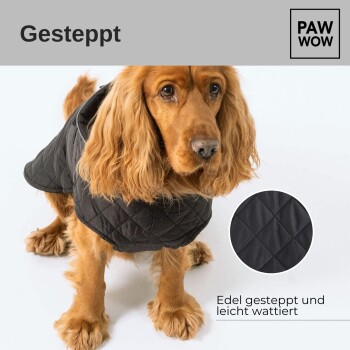 Ein goldener Cocker Spaniel trägt einen stylischen schwarzen gesteppte Hundemantel, mit dem Text 'Gesteppt' und 'Edel gesteppt und leicht wattiert' angezeigt.