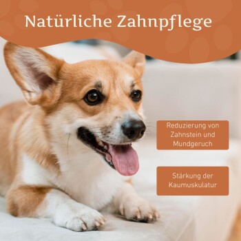 Zwei gelbe Hundekauknochen mit Symbolen und deutschem Text, der fettarm, proteinreich, kalziumreich, kalorienarm, laktosefrei, gentechnikfrei und glutenfrei angibt.