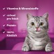 Eine verspielte graue getigerte Katze leckt sich die Lippen, mit Text: "Vitamins & Minerals," "<2 kcal," "Protein," und "100% Delicious."