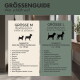 Grünes Haustierbett mit gerippter Textur, erhältlich in zwei Größen: M (80x60 cm) und L (100x70 cm), beschriftet mit "Modelle" und "PAW WOW."