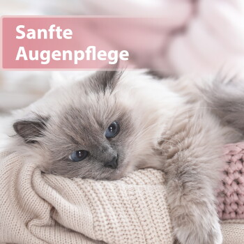 Flauschige graue Katze mit blauen Augen ruht auf cremefarbenen Strickdecken, Überlagerungstext: 'Sanfte Augenpflege'.
