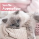 Flauschige graue Katze mit blauen Augen ruht auf cremefarbenen Strickdecken, Überlagerungstext: 'Sanfte Augenpflege'.