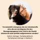Ein schwarz-weißer Hund sitzt neben einer Person. Text darunter hebt die wichtigsten Zutaten für die Gelenkgesundheit hervor, von Kathrin Häringer.