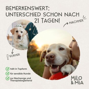 Ein Hund auf Gras neben dem Text: "Schluss mit Magen- & Darm-Problemen!" listet Bedingungen auf und "Milo & Mia" unten rechts.