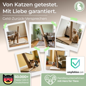 Fotocollage von Katzen, die einen vertikalen Sisal-Kratzpfosten benutzen; sichtbarer Text: 'Von Katzen getestet. Mit Liebe garantiert.'