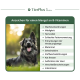 Ein glücklicher schwarz-brauner Hund sitzt auf Gras, mit einer Liste von Symptomen, die auf einen B-Vitamin-Mangel hinweisen, einschließlich Müdigkeit und Verdauungsproblemen.