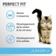 Image d'un chat moelleux à côté d'un texte mettant en avant les avantages de la nourriture pour chats "Perfect Fit" : bonne croissance, vision et développement cérébral, os solides.