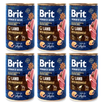 Sechs Dosen Brit Hundefutter, beschriftet mit "Lamm mit Buchweizen", entworfen für empfindliche Hunde, mit Bildern von Lamm und Äpfeln.