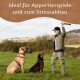 Eine Person in Outdoor-Bekleidung hält einen Stock auf einer grasbewachsenen Fläche mit zwei aufmerksamen Hunden. Text oben sagt: 'ideal für Apportierspiele und zum Stressabbau.'