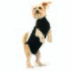 Body pour chien Recovery Suit noir XXS