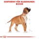 Illustration eines Boxerhundes mit Maßen, betitelt "SORTIMENT FÜR RASSEHUNDE: BOXER" oben.