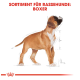 Illustration eines Boxerhundes mit Maßen, betitelt "SORTIMENT FÜR RASSEHUNDE: BOXER" oben.