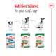 Royal Canin dog food packaging shows Puppy, Mini Adult, and Aging formulas with the text: "Nutrition tailored to your dog's age."