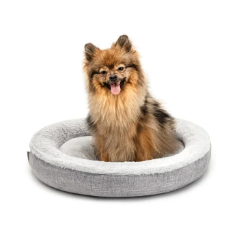 Ein flauschiger Hund sitzt in einem gemütlichen, runden grauen Hundebett mit einem weichen, plüschigen Innenraum.
