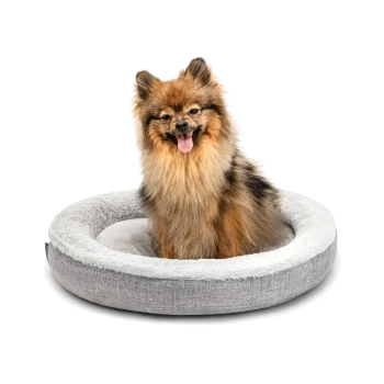 Ein flauschiger Hund sitzt in einem gemütlichen, runden grauen Hundebett mit einem weichen, plüschigen Innenraum.