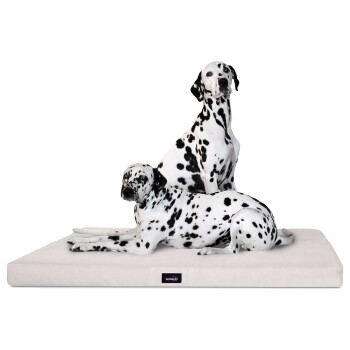 Zwei Dalmatiner ruhen sich auf einem plüschigen, cremefarbenen Hundebett mit einem schwarzen Etikett aus, auf dem "terland" steht.