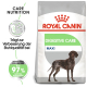 Royal Canin Digestive Care Hundefuttertüte mit einer Illustration eines braunen und weißen Hundes, mit Text, der die Vorteile für die Stuhlqualität hervorhebt.