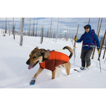 Ein Hund, der eine orange-braune Jacke trägt, läuft durch tiefen Schnee, während eine Person in Winterkleidung hinterhergeht.