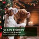 Zwei Hunde, ein Jack Russell und ein Golden Retriever, umarmen sich neben einem geschmückten Weihnachtsbaum mit dem Text: "Für besondere Momente des Genusses."