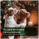 Zwei Hunde, ein Jack Russell und ein Golden Retriever, umarmen sich neben einem geschmückten Weihnachtsbaum mit dem Text: "Für besondere Momente des Genusses."