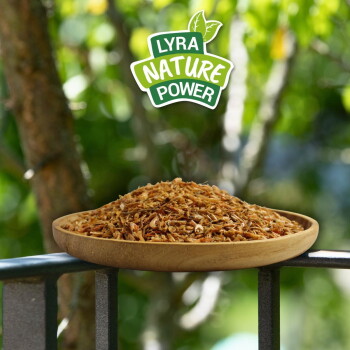 Holzteller gefüllt mit getrockneten Insekten auf einem Geländer, mit dem "Lyra Nature Power" Logo darüber vor grünem, unscharfem Hintergrund.