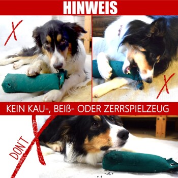 Hund kaut und zerreißt ein grünes Spielzeug mit roten X-Markierungen und deutschem Text mit Warnung „Kein Kau-, Beiß- oder Zerrspielzeug“.