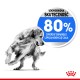 Zabawny golden retriever w czerni i bieli, z niebieskim okręgiem z napisem "80%" i tekstem po polsku o poprawie kondycji zwierząt.