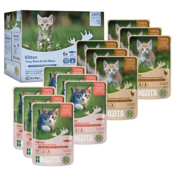 Katzenfutterpaket mit der Marke Bozita, mit 12 Beuteln (6 Lachs, 6 Huhn), die mit "100% Tierprotein" und "Getreidefrei" gekennzeichnet sind.
