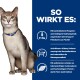 Graue Katze mit blauem Halsband neben einer blauen Tafel mit der Überschrift 'SO WIRKT ES:' mit Symbolen und deutschem Text über P&Na und Nierenschutz.